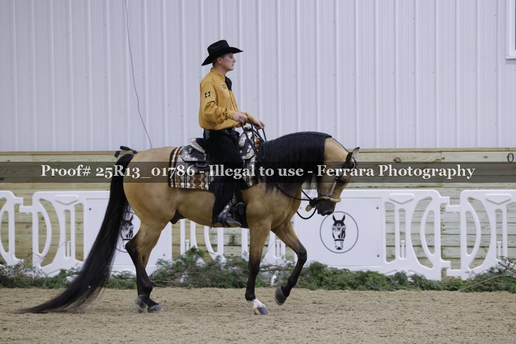 Proof Number 25R13_01786