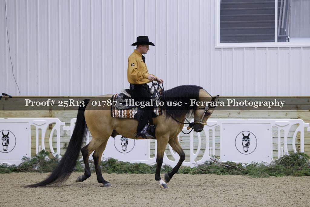 Proof Number 25R13_01787