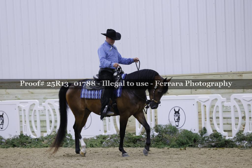 Proof Number 25R13_01788