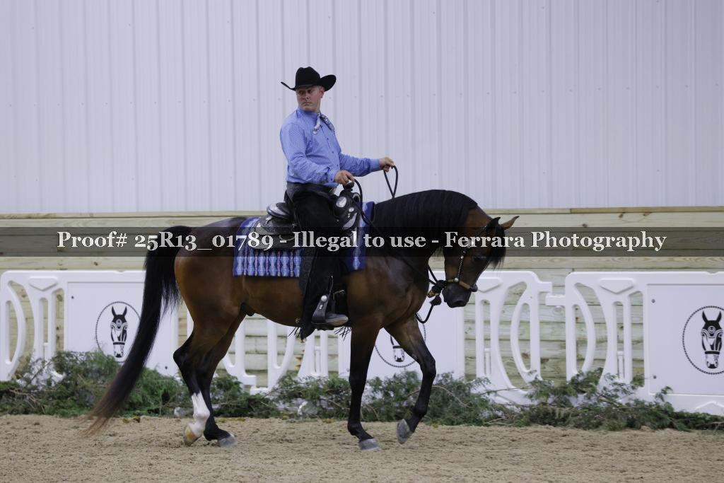 Proof Number 25R13_01789
