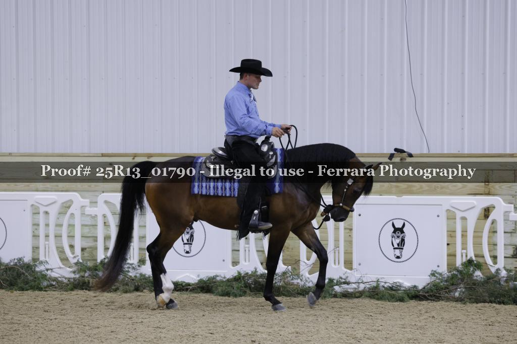 Proof Number 25R13_01790