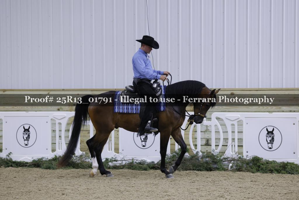 Proof Number 25R13_01791