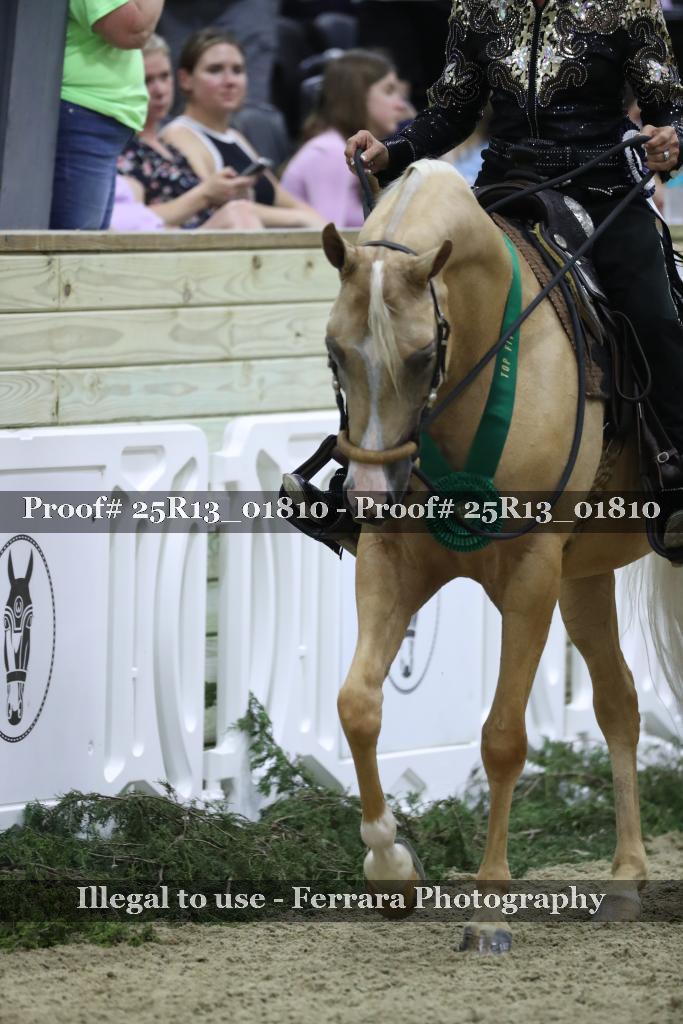 Proof Number 25R13_01810