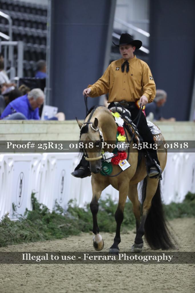 Proof Number 25R13_01818