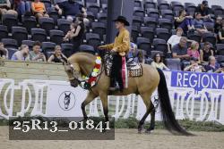 25R13_01841 thumbnail
