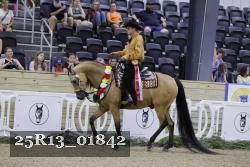 25R13_01842 thumbnail