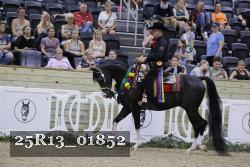 25R13_01852 thumbnail