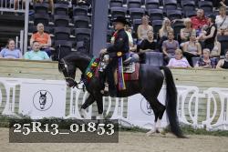 25R13_01853 thumbnail