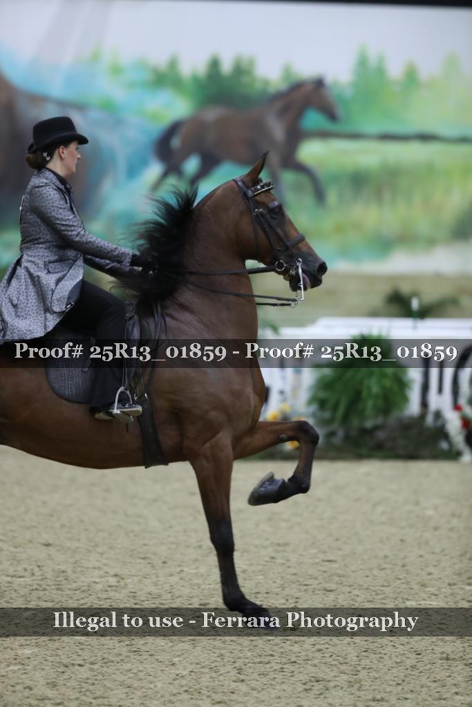 Proof Number 25R13_01859