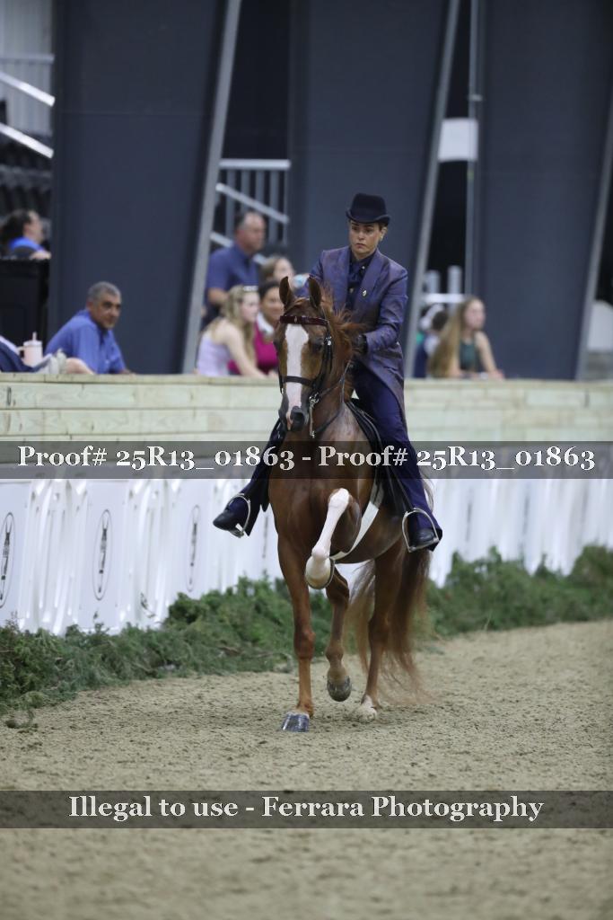 Proof Number 25R13_01863