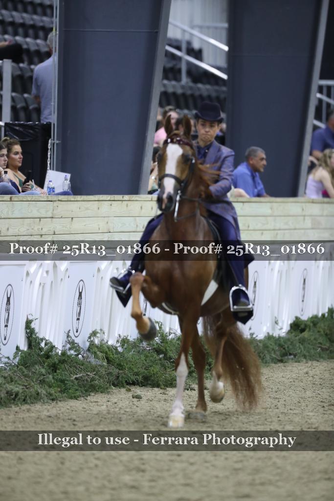 Proof Number 25R13_01866
