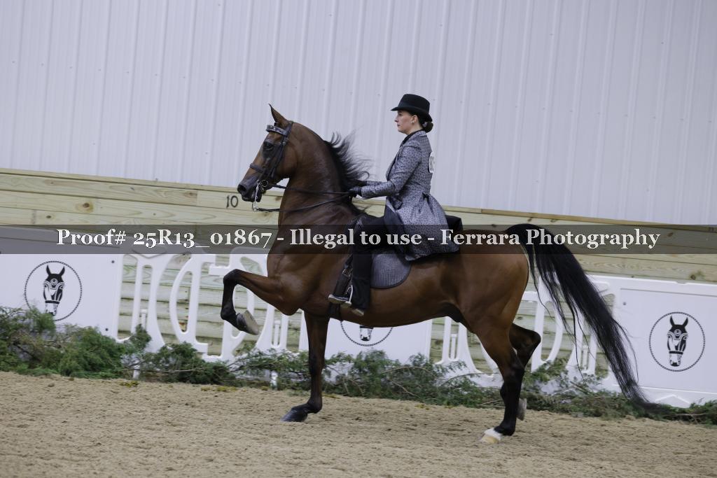 Proof Number 25R13_01867