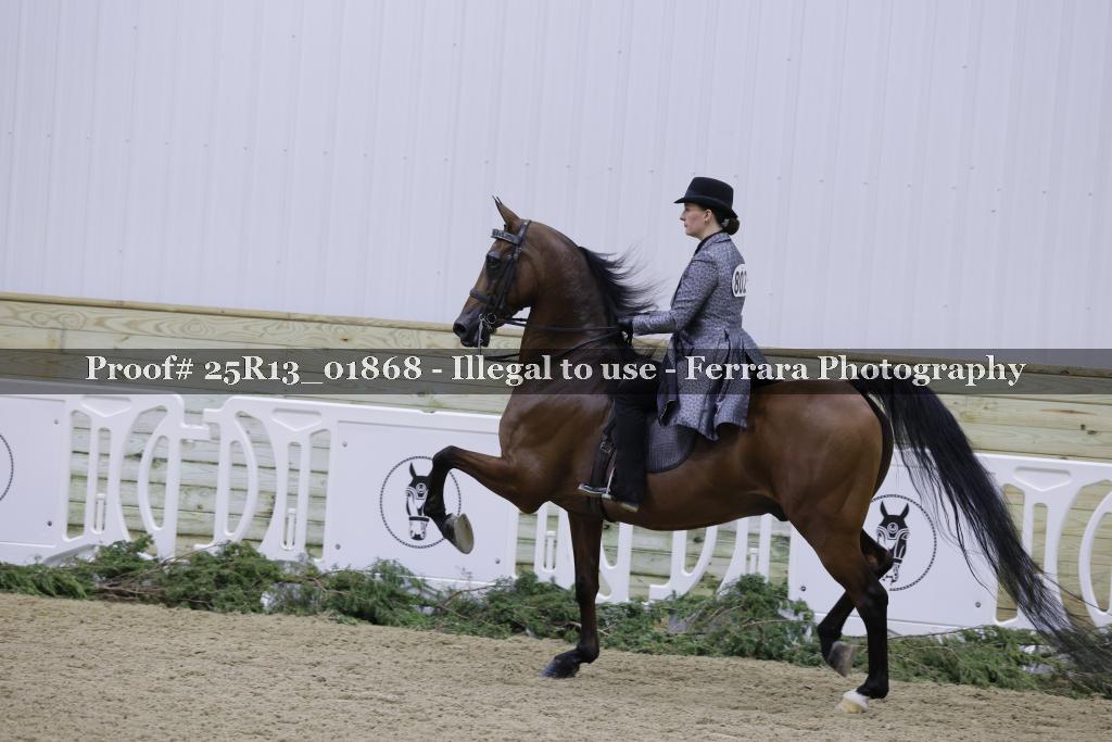 Proof Number 25R13_01868