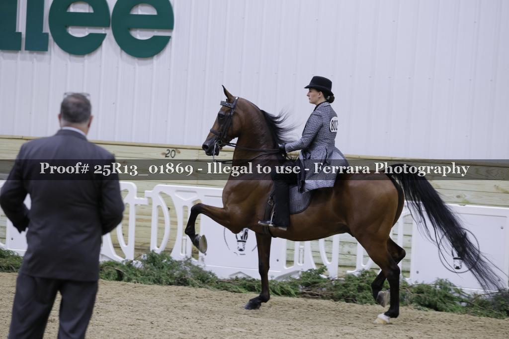 Proof Number 25R13_01869