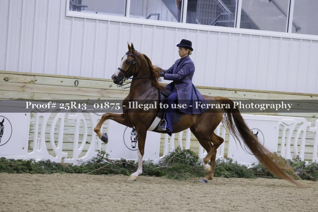 Proof Number 25R13_01875