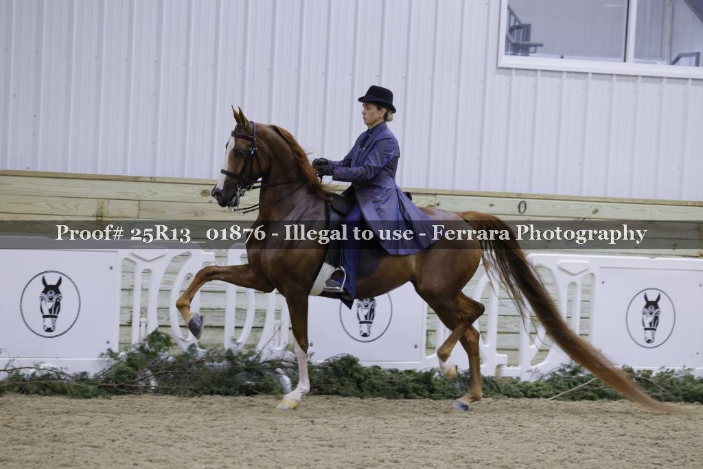 Proof Number 25R13_01876