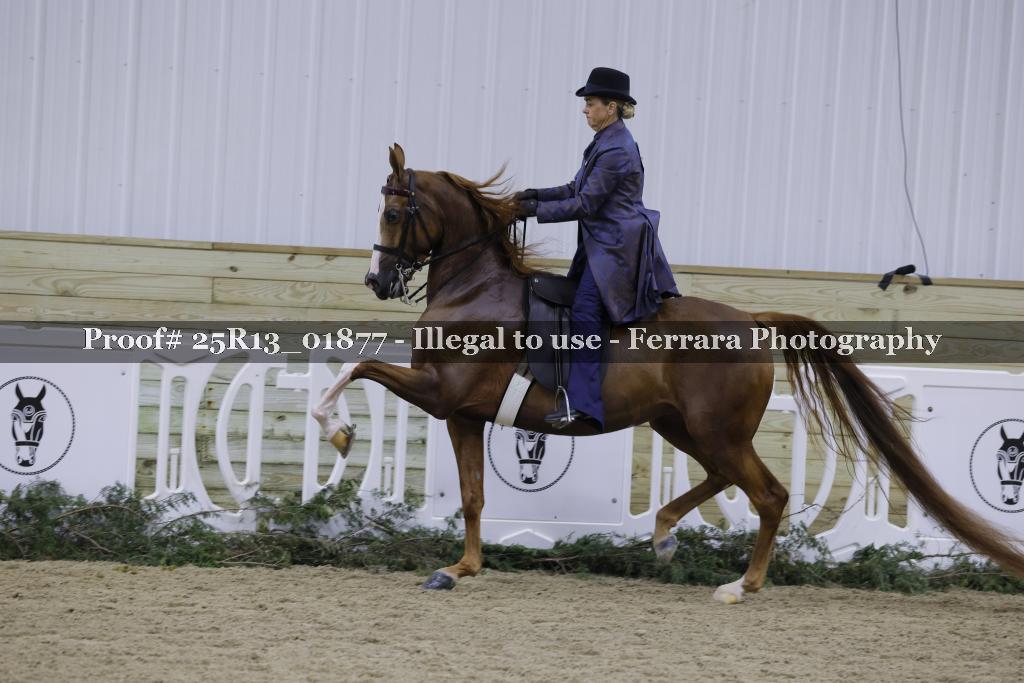 Proof Number 25R13_01877