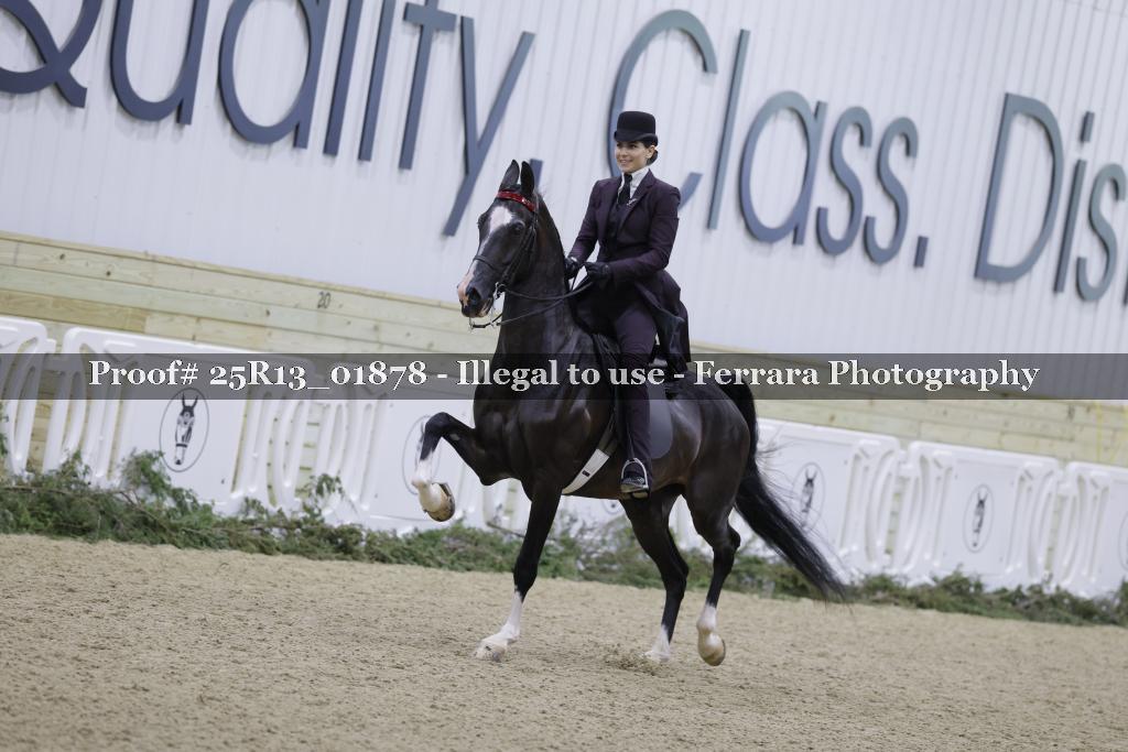 Proof Number 25R13_01878