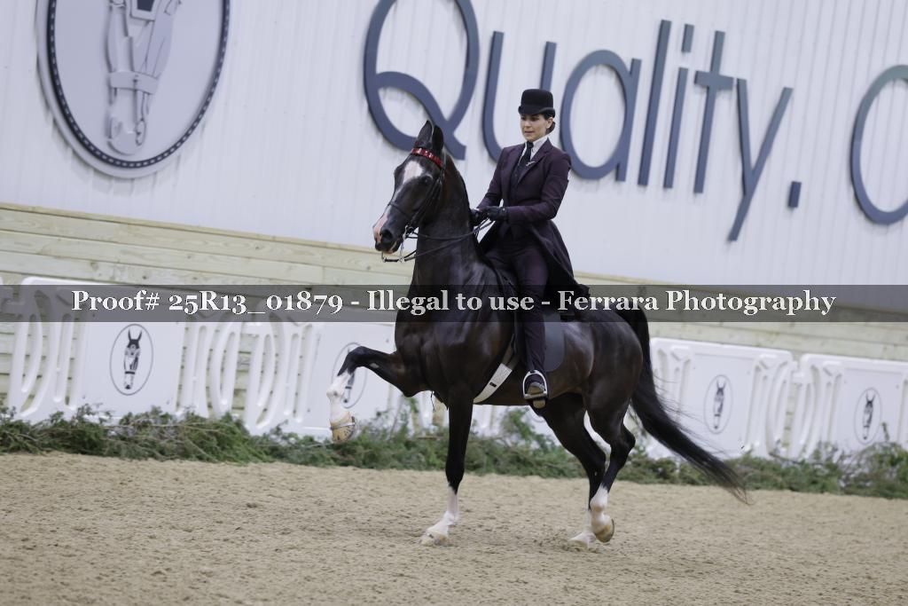 Proof Number 25R13_01879