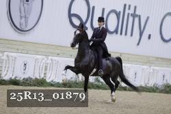 25R13_01879 thumbnail