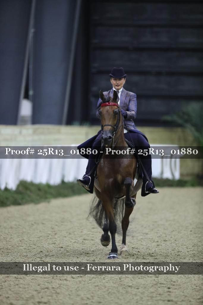 Proof Number 25R13_01880