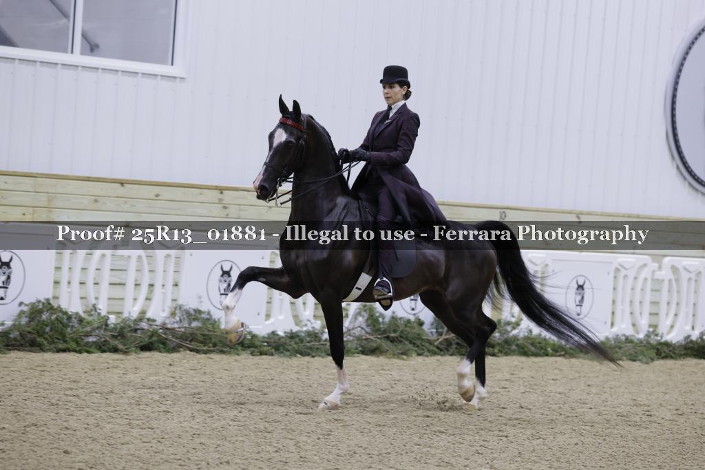 Proof Number 25R13_01881