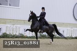 25R13_01881 thumbnail