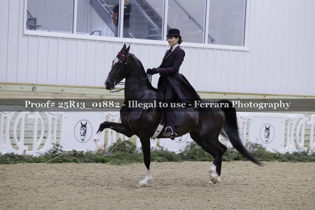 Proof Number 25R13_01882