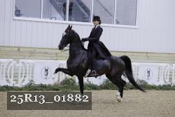 25R13_01882 thumbnail