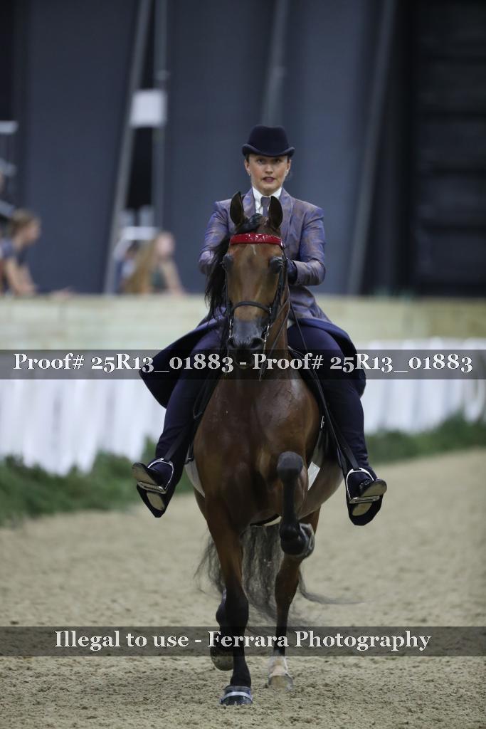 Proof Number 25R13_01883