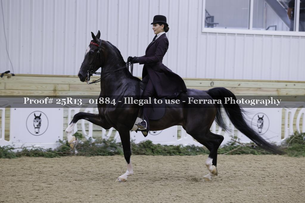 Proof Number 25R13_01884