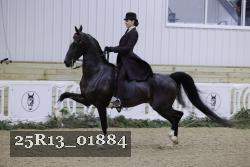 25R13_01884 thumbnail