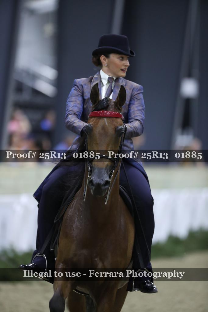 Proof Number 25R13_01885