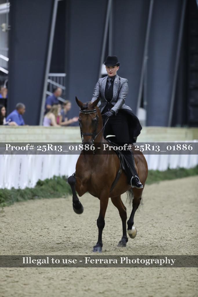 Proof Number 25R13_01886