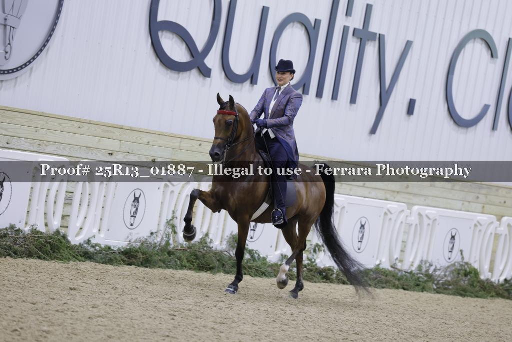 Proof Number 25R13_01887