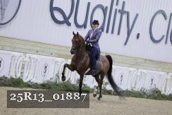 25R13_01887 thumbnail