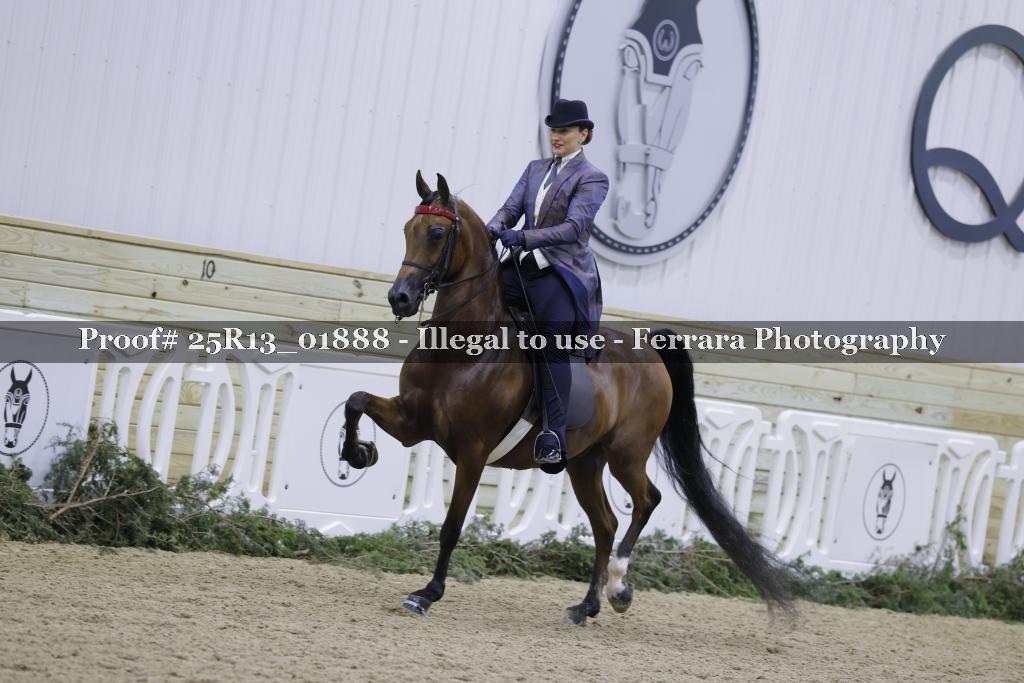 Proof Number 25R13_01888