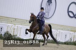25R13_01888 thumbnail