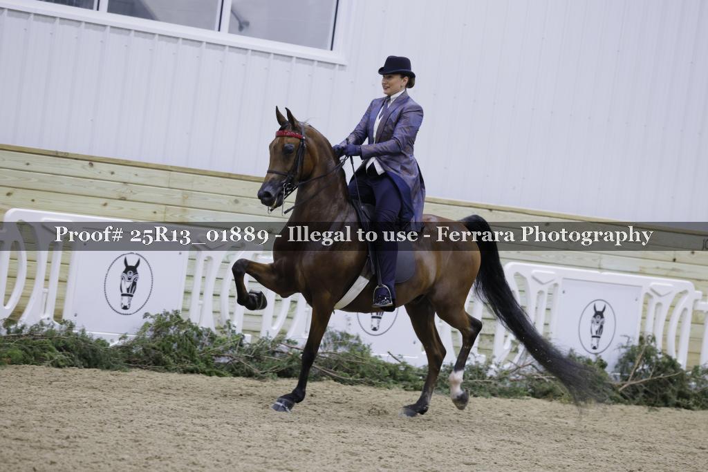 Proof Number 25R13_01889