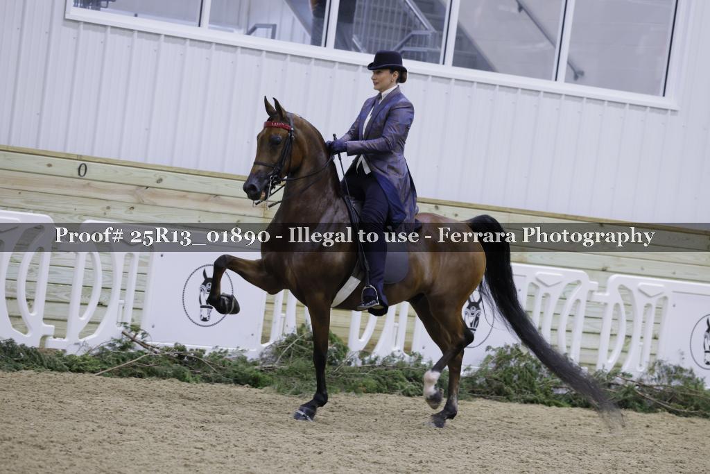 Proof Number 25R13_01890