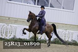 25R13_01890 thumbnail