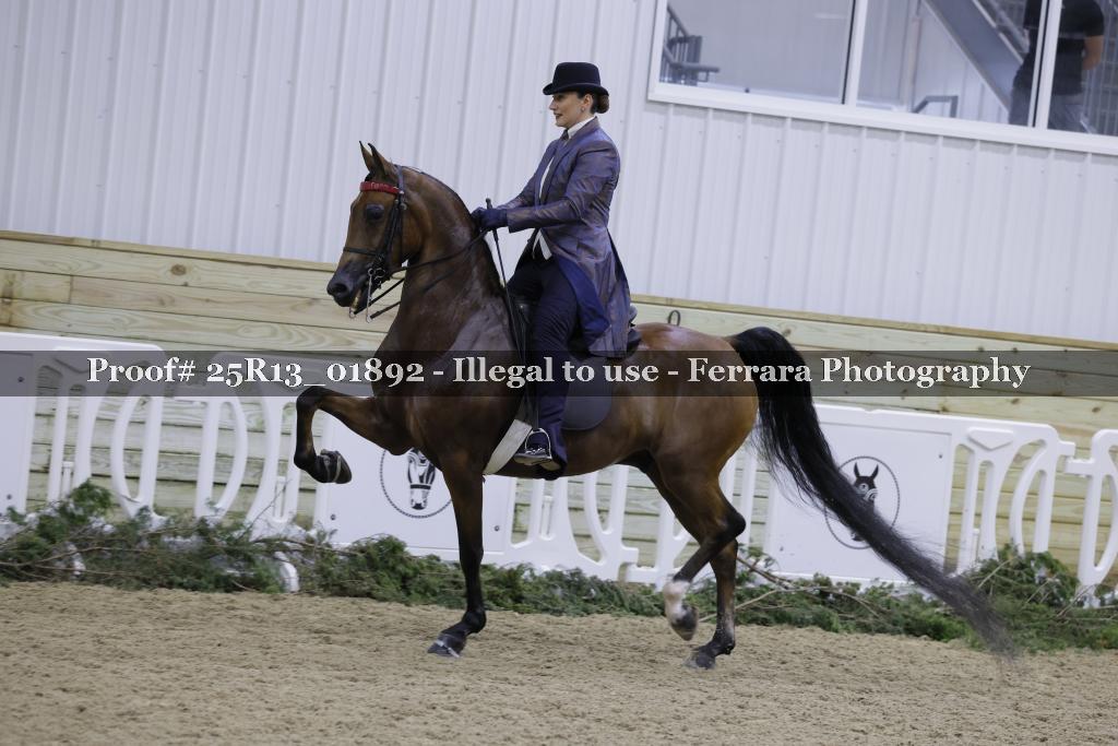 Proof Number 25R13_01892