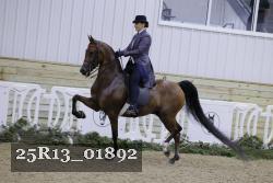 25R13_01892 thumbnail