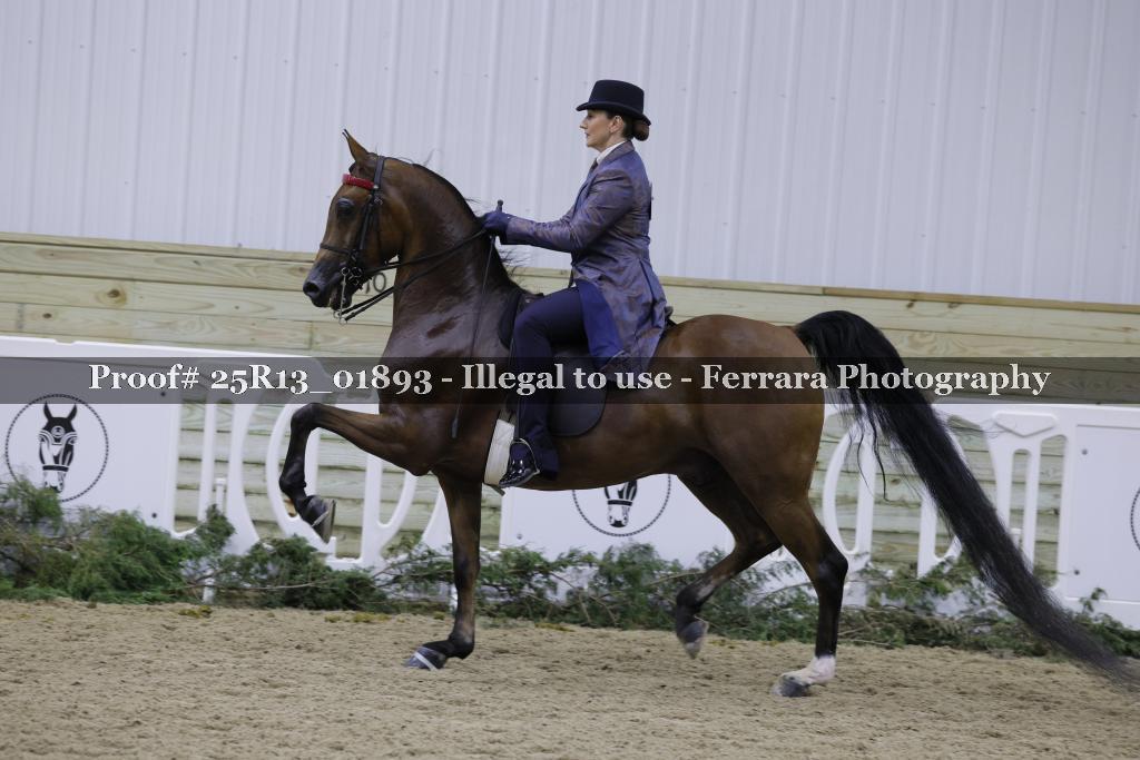 Proof Number 25R13_01893