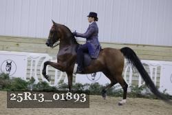 25R13_01893 thumbnail