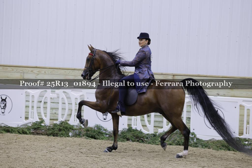 Proof Number 25R13_01894