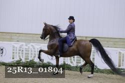 25R13_01894 thumbnail