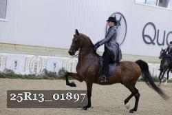 25R13_01897 thumbnail