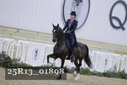 25R13_01898 thumbnail