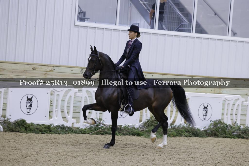 Proof Number 25R13_01899